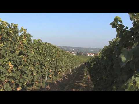 Americas Best Value Inn Downtown Albuquerque