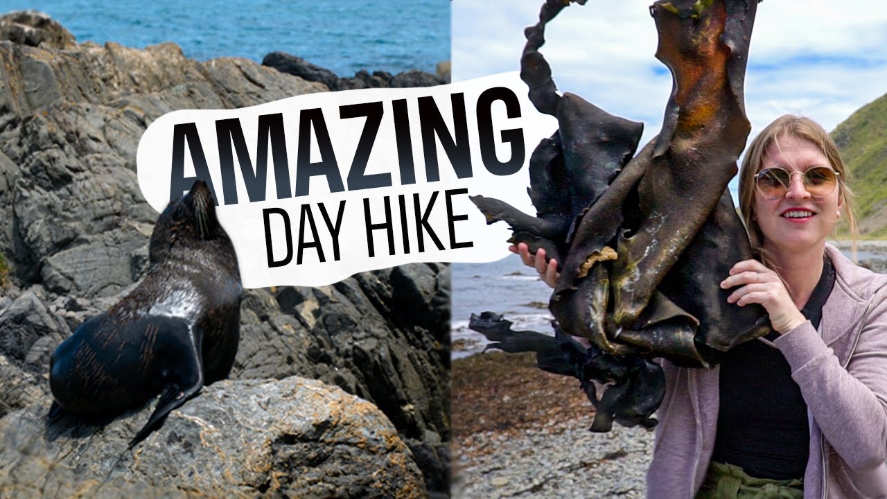 Travelers embark on a captivating journey to Red Rocks Reserve.