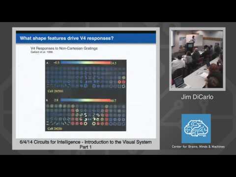 6/4/14 Circuits for Intelligence - Jim DiCarlo: Introduction to the Visual System, Part 1