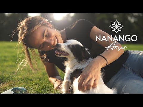 LOT 13 Cripps Road (Nanango Acres Estate), Nanango, QLD 4615, 0 chambres, 0 salles de bain, Section