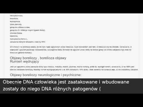 Bandaże na dłoniach w kulturystyce Jak rosną mięśnie klatki piersiowej