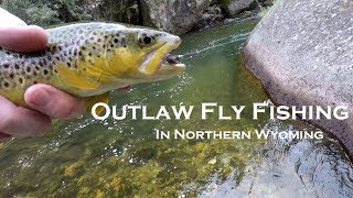 Outlaw Fly Fishing in Northern Wyoming