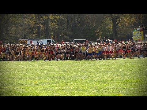 IHSA Boys 2A & 3A Cross Country Championships 11.9.19