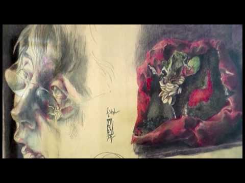 oeins-Bericht über Kunstankauf des Horst-Janssen-Museums für 1,5 Mio. Euro