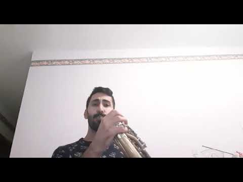 Sinfonia n.9 di Ludwig van Beethoven - solo del 4° corno