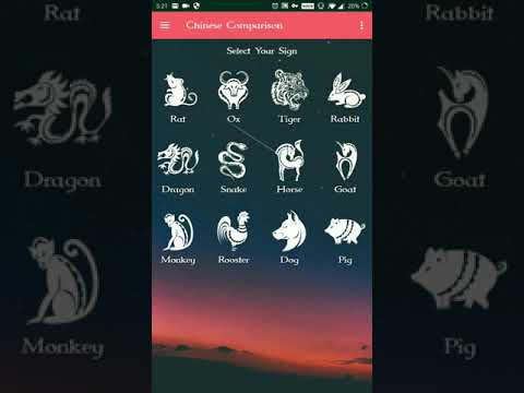 Numerology & Chinese Horoscope Video