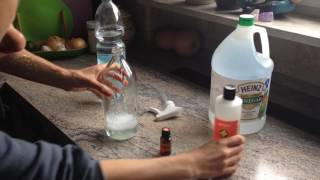 How to Make Glass and Surface Cleaner with Essential Oils
