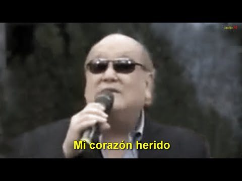 MI CORAZON HERIDO (con letra) Leo Dan
