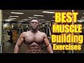 The ONLY 6 Exercises Men Need To Build Muscle