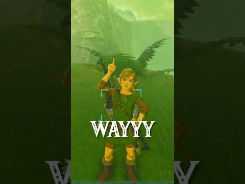 You Know You've Played TOO MUCH Zelda When... |Botw|