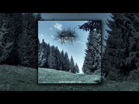 Basarabian Hills - In The Stillness Of The Codrii [Full Album]
