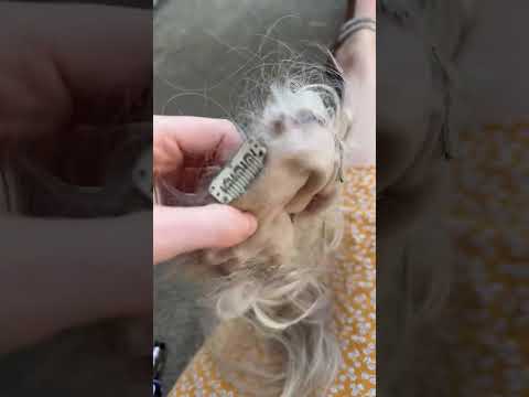 Smartstyle - Topper disaster