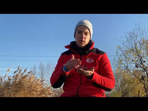 Benzar Mix RIver Feeder Large