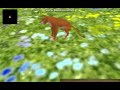 FeralHeart|My Map The Lion King 