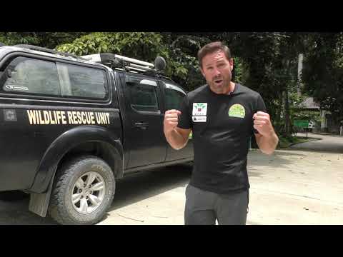 Destination Conservation - Wildlife Rescue