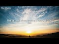 The Night Avicii Lyrics