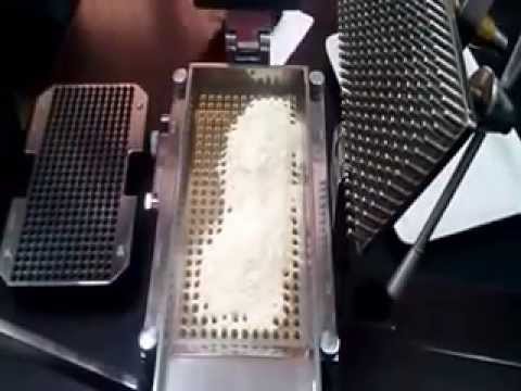 Capsule Filling Machine