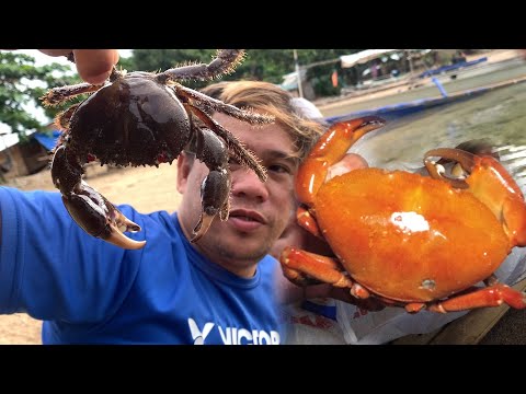 SE02EP035 - GINATAANG KUNGO CRABS ( LAND CRAB ) Isla Grande, Pagbilao Quezon