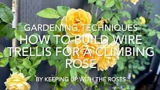 How to Build a Wire Trellis and Train Climbing Rose