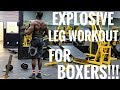 EXPLOSIVE LEG WORKOUT FOR BOXERS!!! Stronger Knock Out Power & Better Balance!!!