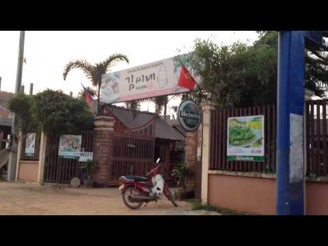 Friendly and not-so-friendly Laotian dogs roam the streets, Pakse, Laos