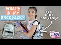 Back to School Again | What's in My Backpack ft. Real Littles