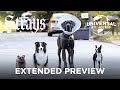 Strays (Will Ferrell) | The Worst Dog Owner Does Indeed Exist | Extended Preview