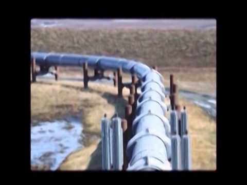 ONDA TG 4.09.2013 - D'AMICO SU LEGGE METANODOTTO