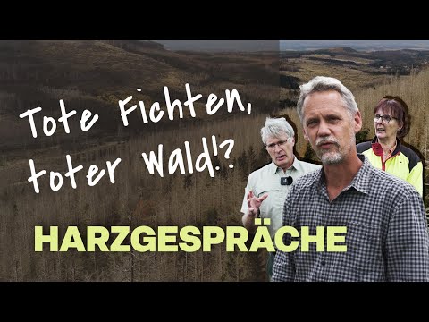 Baumsterben, Borkenkäfer, Brandgefahr: Waldwende im Harz | HARZGESPRÄCHE