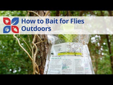  How to Bait and Trap Flies Outdoors Video 