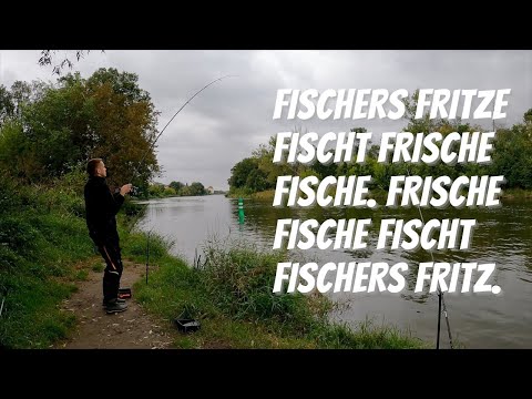 Flussangeln mit Köderfisch und Futterkorb 🤙🏼 !