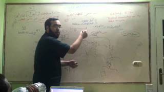 النقد الكتابي واللغة اليونانية (5) تاريخ انتقال نص العهد الجديد image