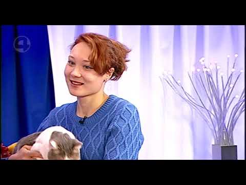 История Крокуса