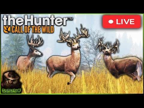 🔴LIVE🔴 100k Subs Today!?!?! HUGE Grinding Stream To Get The Great One Whitetail! Call of the wild