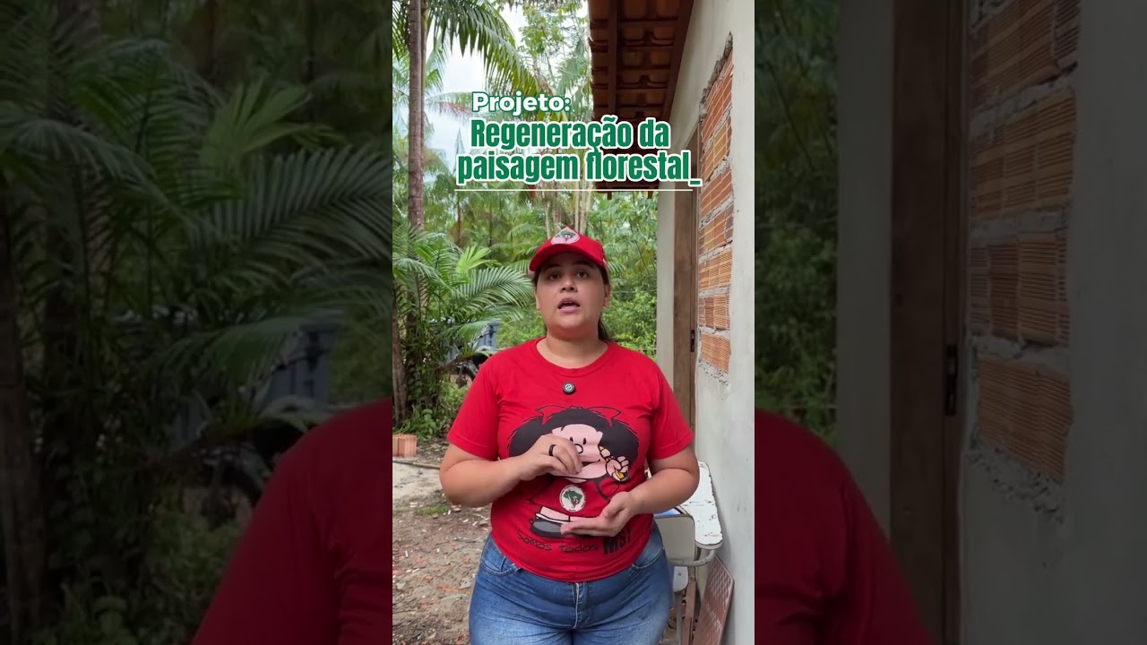 Restauração Florestal na Amazônia: iniciativa inspiradora no Assentamento Abril Vermelho, no Pará