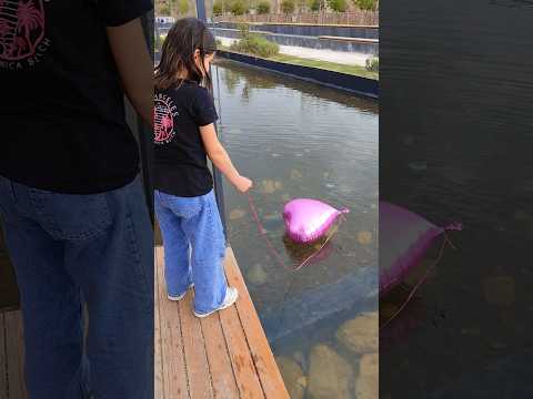 فطومي شو عم تعملي 😤 شو هدا معكي #عائلة