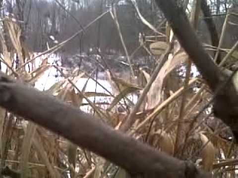 Airsoft Spetsnaz Vs Task Force 141