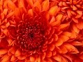 Test 5