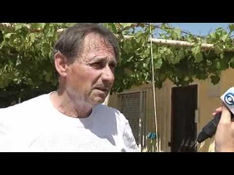 Cuatro delincuentes coparon una bodega en Toledo Chico