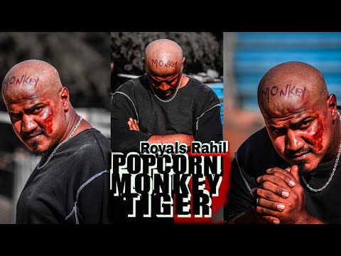 Popcorn Monkey Tiger / Royals Rahil / popcorn monkey Tiger movie dialogues / Doli dialogues | 2021📽️