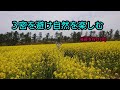 後藤の休日 3密を避け自然中に・・・・