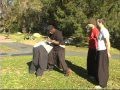 Yang Tai Chi Combat Fighting Techniques
