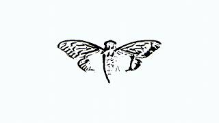 Cover art for Smily - FIND US