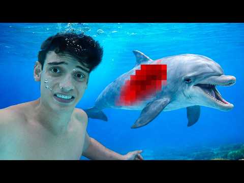 🚨Rescates, Peligro y Diversión, los mejores momentos del 2025🚨