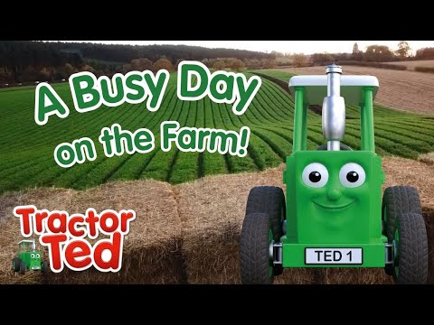 Join Tractor Ted For A BUSY Day On The FARM 🚜🐓 Tractors & Animals For Kids Who LOVE Farms