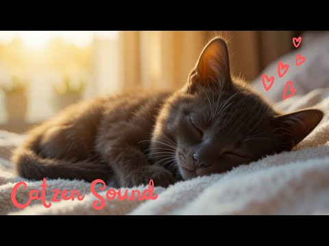 Morning Calm – Relax with Sleepy Cats ???? & Gentle Sounds ????????