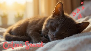 Morning Calm – Relax with Sleepy Cats ???? & Gentle Sounds ????????