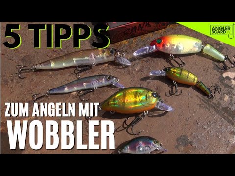 5 EINSTEIGER-Tipps zum ANGELN mit WOBBLER | Crankbait & Twitchbait | Kunstköder | ANGLERBOARD TV