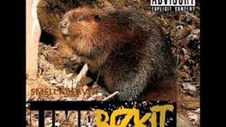 Limp Bizkit - Actin Dumb (bonus track)