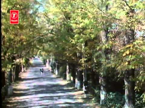 Poster din patjhad ke ya bahaare ho